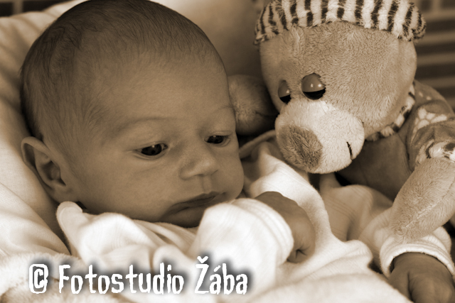 Fotostudio Žába-102