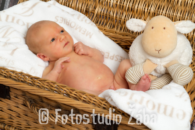 Fotostudio Žába-156